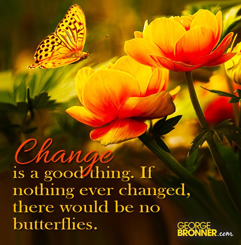 Change is a Good Thing - George Bronner