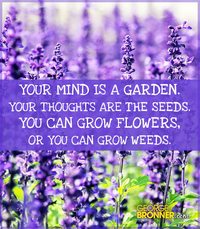 Your Mind is a Garden - George Bronner